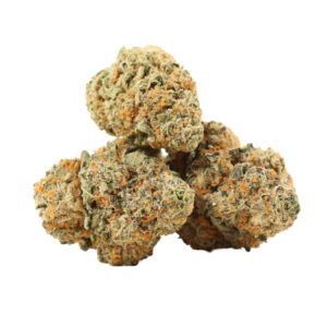 dairy queen sativa