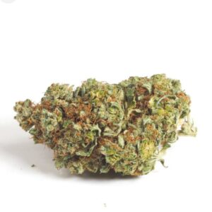 Alien gorilla, indica oz