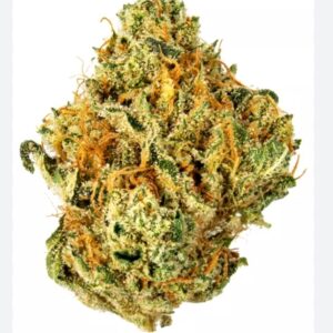 UK cheese (indica) oz