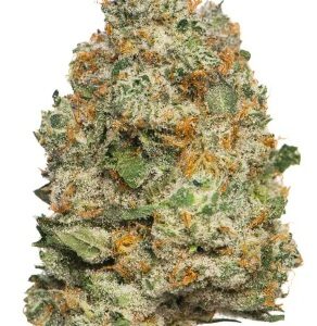 Apple fritter (hybrid) 26%thc
