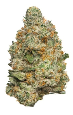 Apple fritter (hybrid) 26%thc