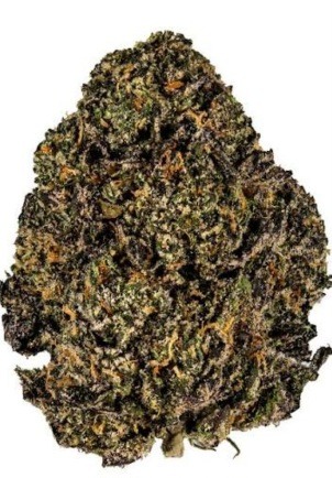 Gelato #33 (indica) 28%thc