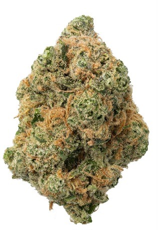 Lemon skunk (hybrid indica dom)22%thc