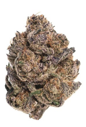 Wild grape (indica)25%thc