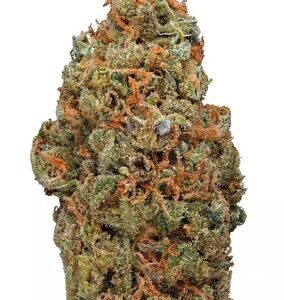 Red conolese (hybrid)22%thc