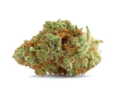 The dark side oz