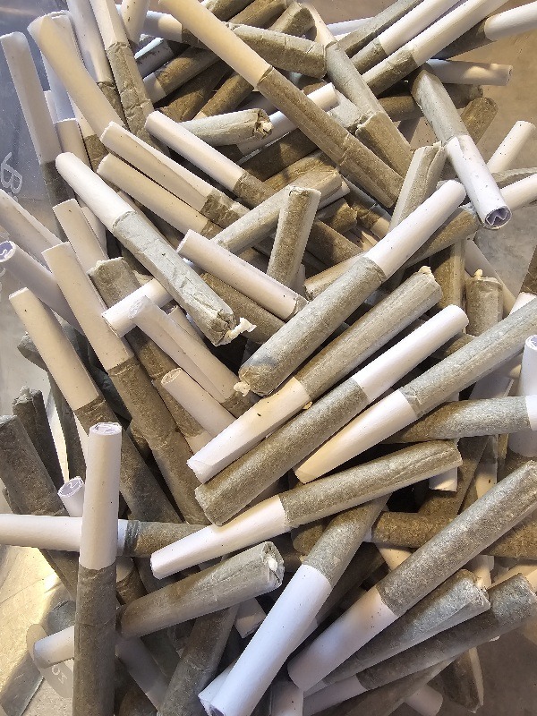 10 pk prerolls .5gram indica