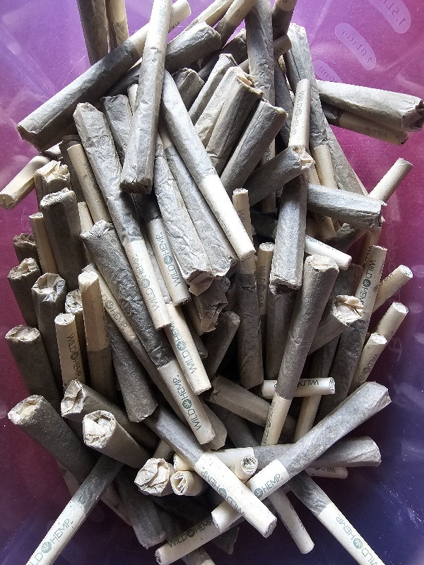 10 pk prerolls (indica)